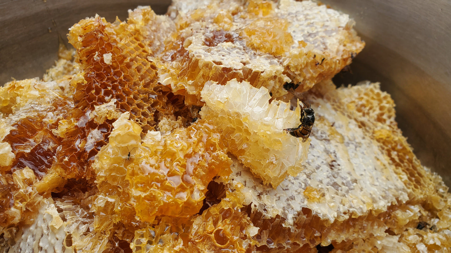 Mombasa Tea Time Scented Beeswax Candle