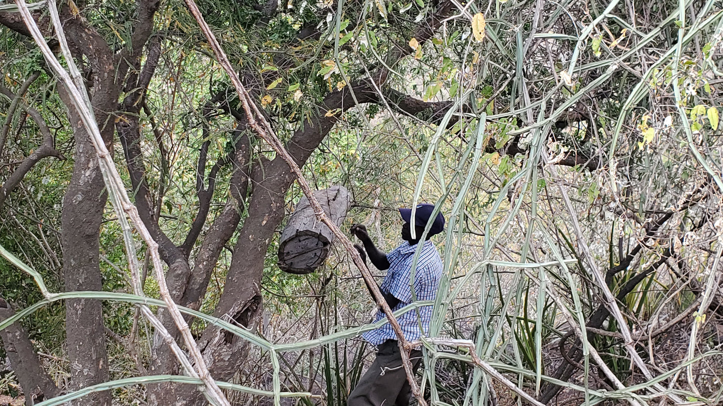 Savannah Gold Premium Honey