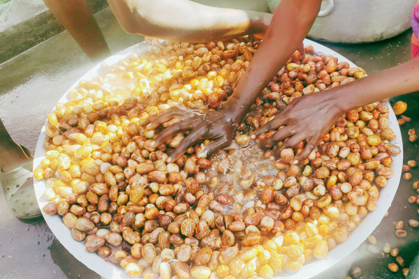 Amboseli Sunset Shea Butter Body Soap (Goat Milk & Unscented)